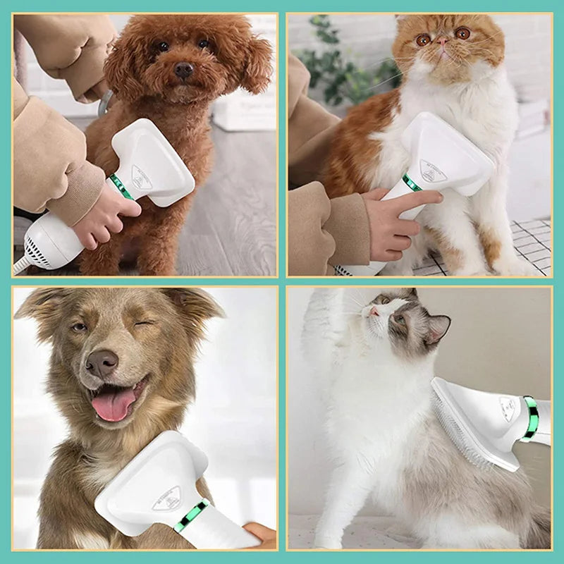 professional and amateur pet hair dryer Brush Grooming