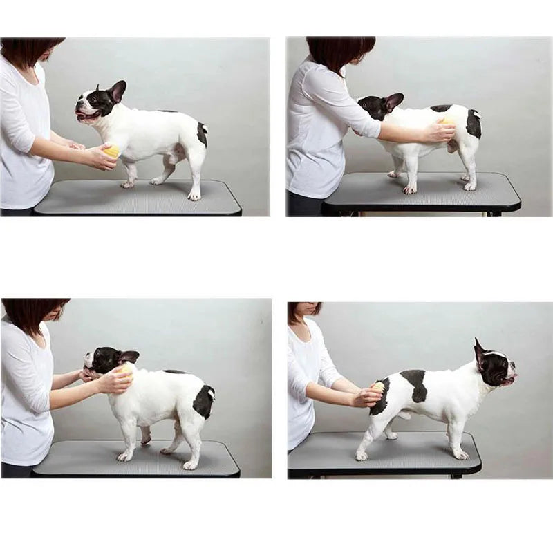 Pet Massage Products (Hair Removal Slicker)